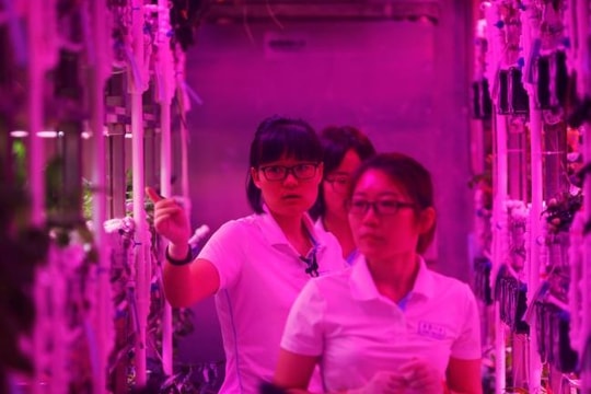 Trung Quốc thí nghiệm mô phỏng sống trong không gian 200 ngày