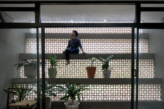 Khám phá thiết kế nhà được bao bọc bởi lưới chống côn trùng ở ngoại ô Sài Gòn