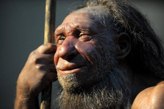 Nhờ người Neanderthal, chúng ta đỡ bị tâm thần phân liệt
