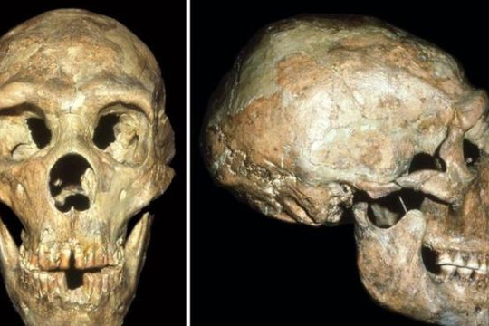 Phát hiện thêm bệnh khiếm thính ở người Neanderthal ở hang động Shanidar