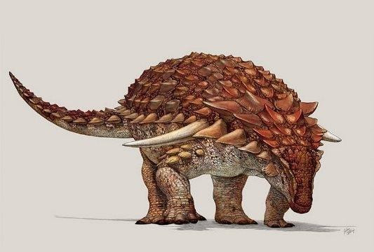 Khủng long ankylosaurs dùng màu da để ngụy trang trốn kẻ thù