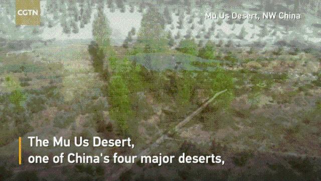 Biến sa mạc thành rừng cây xanh ở Trung Quốc, châu Phi và Ấn Độ