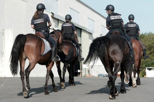 Luxembourg không dùng cảnh sát kỵ binh: Nhà giàu không sính mã