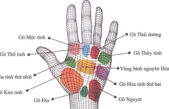 Giải mã tính cách con người qua vị trí 9 gò trong lòng bàn tay