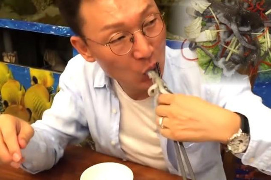Sự thật về clip ăn bạch tuộc sống trong nhà hàng ở Việt Nam