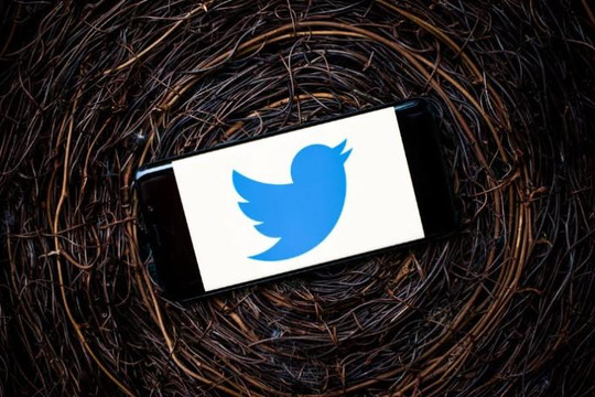 Twitter diệt 7.000 tài khoản truyền bá thuyết âm mưu QAnon