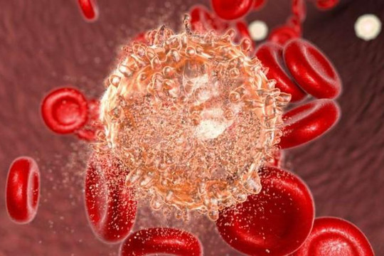 Thuốc thử nghiệm Asciminib chứng minh hiệu quả điều trị ung thư máu