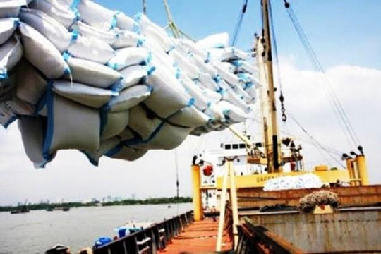 TS Nguyễn Đức Thành: Nên đánh thuế thay vì dừng xuất khẩu gạo