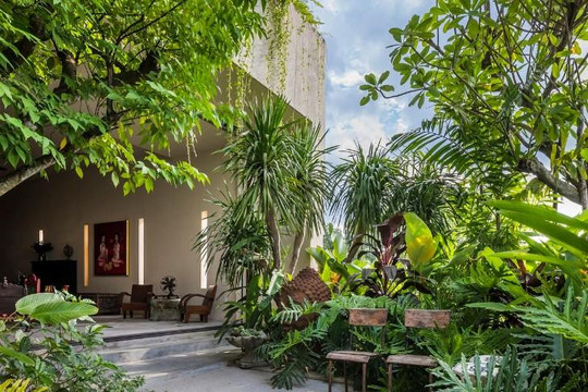 Ngôi nhà ở Thảo Điền gây ấn tượng bằng cây xanh phủ kín và kiến trúc linh hoạt