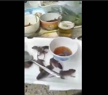 Giữa cơn đại dịch virus Corona, rợn người với món chuột bao tử sống của người Trung Quốc