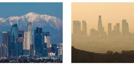 Mặt trái của COVID-19: Các thành phố ô nhiễm nhất thế giới trong sạch hơn, thiên nhiên đang ‘hồi phục’