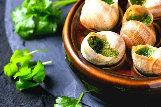 Ốc sên, món ăn 'kinh dị' ở Việt Nam nhưng là đặc sản của người Pháp sành ăn