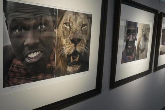 So sánh ảnh người da màu với động vật, triển lãm ở Trung Quốc bị chỉ trích kỳ thị chủng tộc