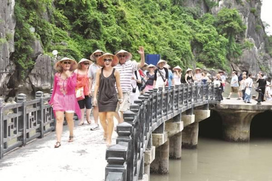 Lượng khách du lịch quốc tế đến Việt Nam có xu hướng giảm dần