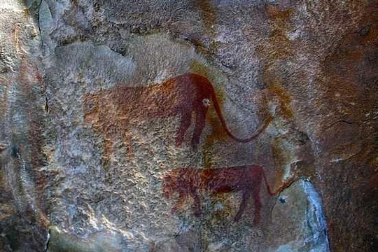 Bức tranh hang động khẳng định trên Trái đất từng tồn tại loài bò rừng lai