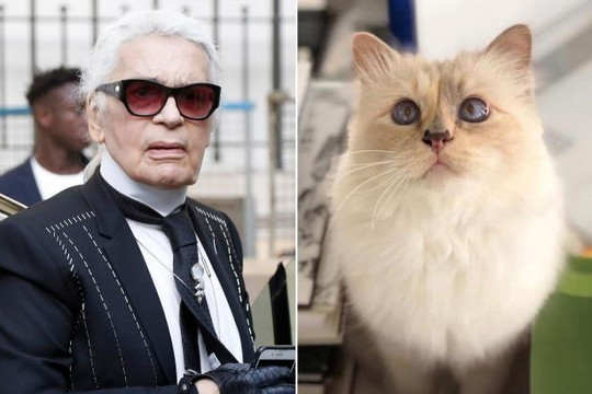 Mèo Choupette ra mắt bộ sưu tập tưởng nhớ nhà thiết kế Karl Lagerfeld