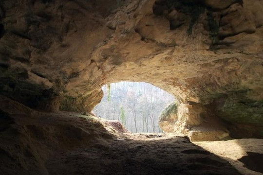 Người Neanderthal và người Sapiens không gặp nhau ở hang Vindia, Croatia