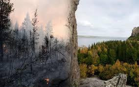 Các nhà khoa học Nga cảnh báo về hậu quả tan băng khi tàn phá rừng ở Sibir