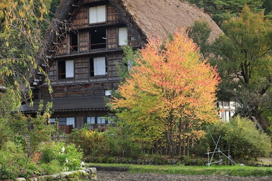 Làng cổ Shirakawago đẹp như tranh qua trải nghiệm của blogger Tâm Bùi