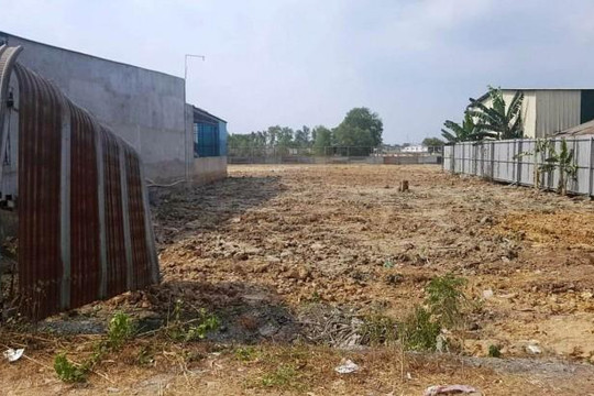 TP.HCM: Nhà xây không phép trên đất nông nghiệp huyện Bình Chánh vẫn tràn lan
