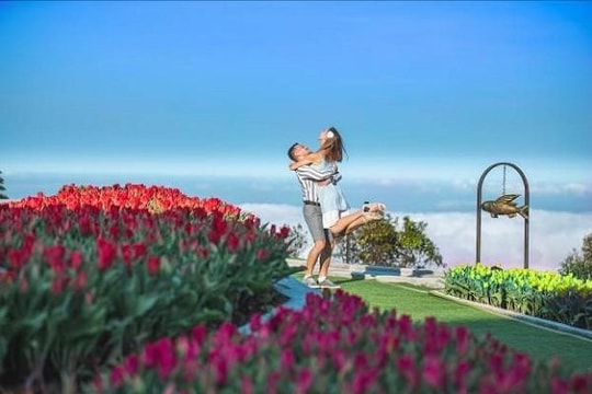 Valentine ngọt ngào ở thiên đường hoa tulip Sun World Ba Na Hills