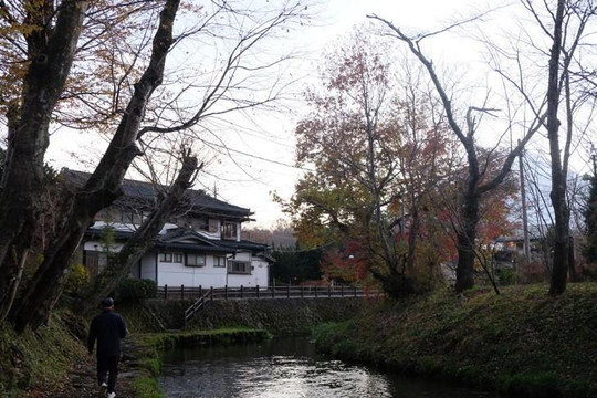 Khám phá ngôi làng cổ thơ mộng dưới chân núi Phú Sĩ