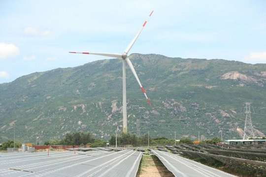 1.500 tỉ mua cần trục sẽ tăng tốc phát triển điện gió tại Việt Nam