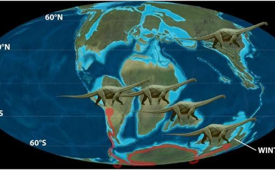 Loài khủng long - 'hươu cao cổ' đến Úc qua ngả Nam cực