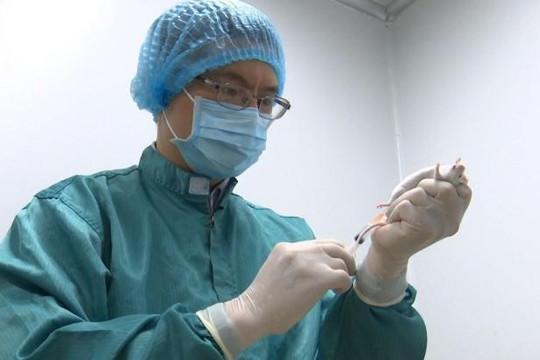Vắc xin phòng COVID-19 của Việt Nam có bước tiến vượt bậc khi thử nghiệm trên chuột