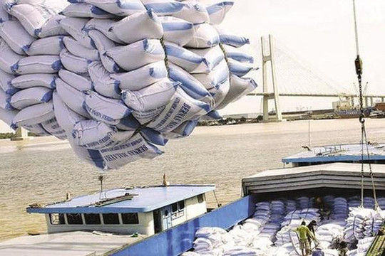 Kiến nghị cho xuất khẩu gạo trở lại bình thường từ tháng 5
