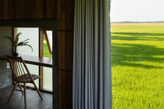 Resort yên bình giữa cánh đồng ở Bà Rịa Vũng Tàu được tờ kiến trúc Mỹ ca ngợi