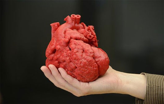 In 3D, hi vọng cho những bệnh nhân suy tim