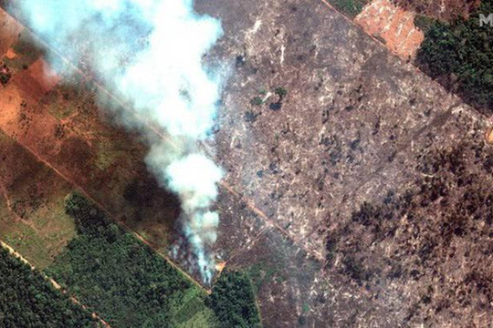 Thảm họa thế kỷ 21: Rừng Amazon có thể tự dập lửa nhưng bị chính con người ‘bức tử’