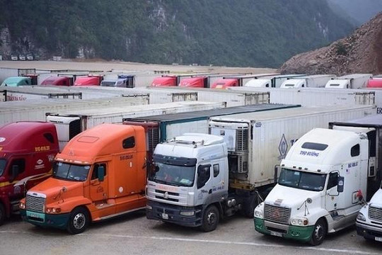 Hơn 550 container đang ùn ứ tại cửa khẩu chờ sang Trung Quốc