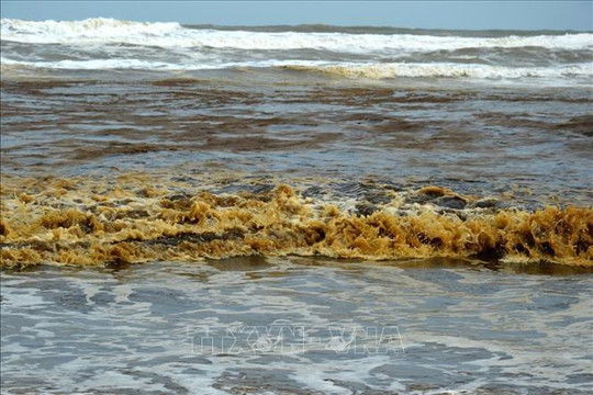 Tổng cục Môi trường quan trắc chất lượng nước và tảo ở vùng biển Quãng Ngãi