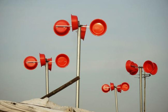 Dưới ánh sáng của cầu Nhật Tân, có những chiếc chậu đỏ
