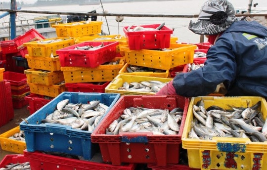 Lệnh cấm đánh cá trên biển Đông của Trung Quốc là vô giá trị