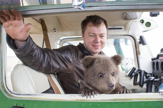 Phi công Nga nhận gấu làm 'con nuôi'
