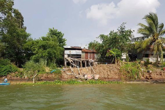 An Giang: Công bố tình huống khẩn cấp sạt lở bờ sông Hậu