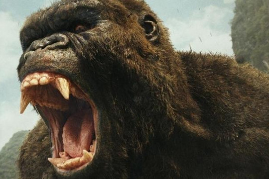 'Kong: Skull Island' chiếm ngôi đầu bảng của 'Logan' tại thị trường Bắc Mỹ