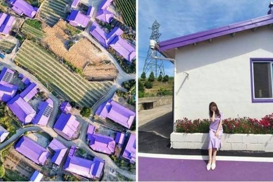 Du lịch hậu COVID-19: Hòn đảo màu tím, thiên đường sống ảo mới nổi ở Hàn Quốc