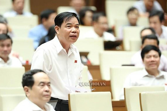 Bộ trưởng Nguyễn Xuân Cường nói về giải pháp ổn định giá thịt lợn