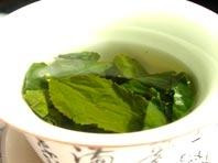 Uống trà xanh giúp tăng mật độ xương