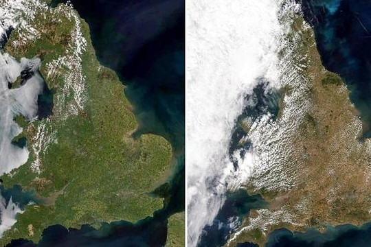 Kinh hoàng tác động của khô hạn trên toàn nước Anh