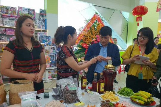 Thừa Thiên-Huế: Hơn 10 tấn chuối rừng về siêu thị mỗi tháng