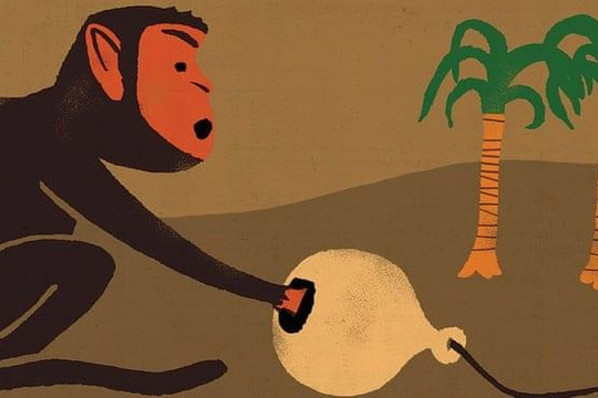 Từ vụ hành hung nữ sinh ở Hưng Yên nghĩ về 'bẫy khỉ' trong nền giáo dục