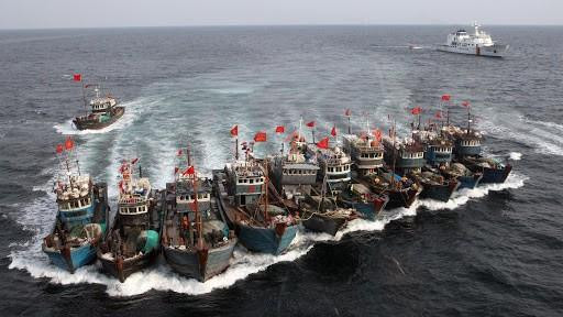 Hàng trăm tàu cá Trung Quốc ồ ạt kéo đến vùng biển Nam Mỹ