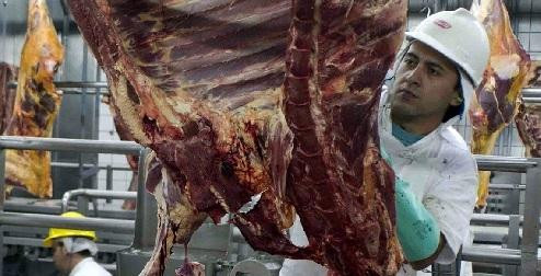 Mỹ ngưng nhập khẩu thịt bò tươi từ Brazil