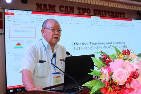 Cánh đồng hoa dừa cạn ở An Giang, điểm 'check-in' mới của giới trẻ