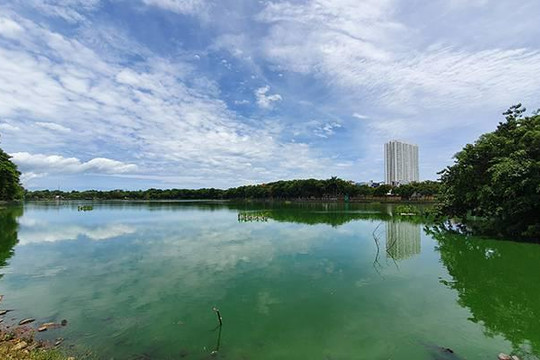 Đà Nẵng: Thu hồi nhiều ngàn mét vuông đất công viên bị xẻ bán trái phép